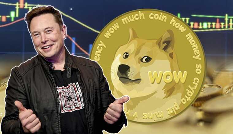    :     Dogecoin 