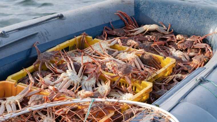 �������������� �������� ������������� ������ �� ����������� ������ ����������� � ��������