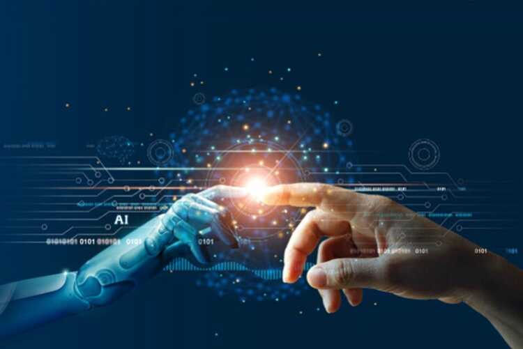 ���� ����: �� ����� ����� ����� �������� ��� � 2025 ����