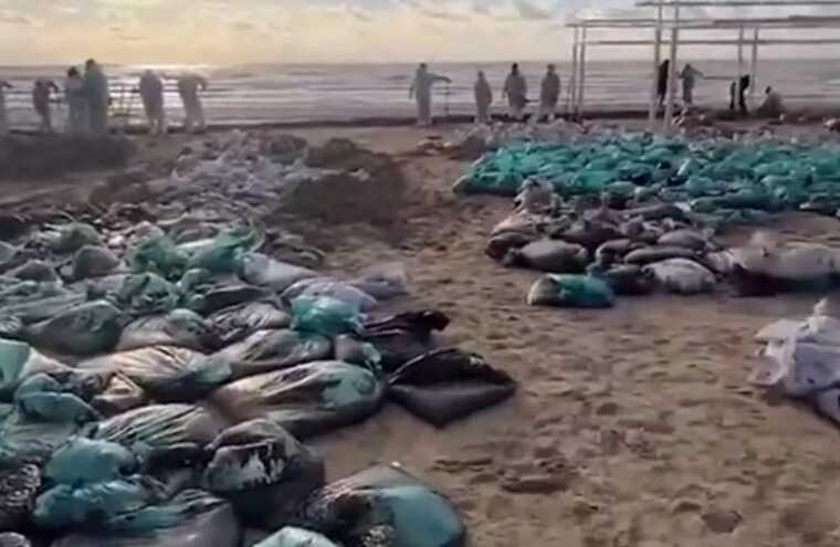 ������������� ������ � �����: �������� ������������ � �������� ������