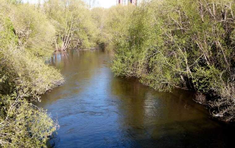 ������� � ��������: �������� � ����������������� ������������ �������� �����������