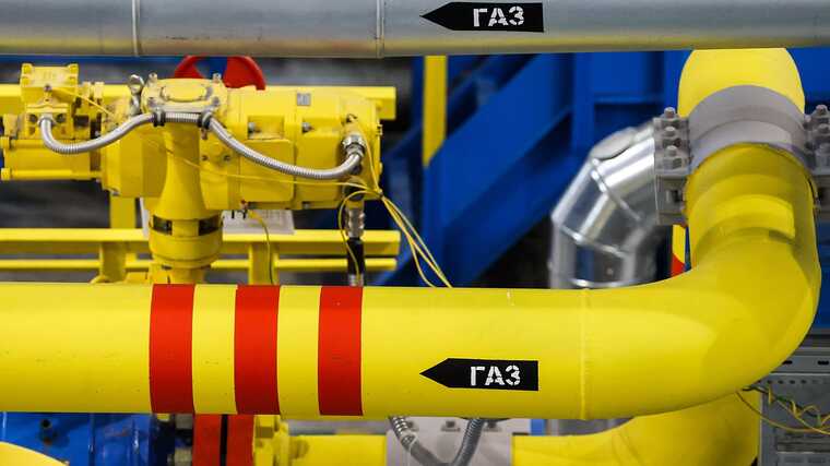 ������ ��������� ������� ���� ����� ������� �� ���� ����� ��� � ������