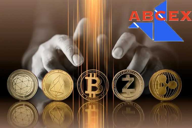 ����������� ABCeX: ������� ���������� ���� � �������������� � ����������� ������������� ���������