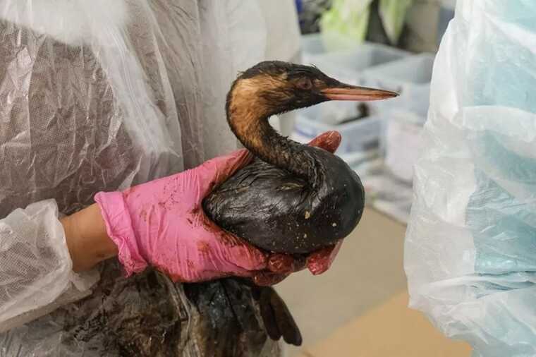 ������, ������������� ����������? ��������� ��������� �������� ��������� � �������� ������ ����