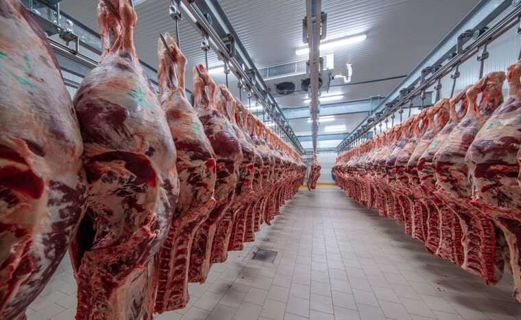 ����������� ������� ���� ������������ ��� ����������� ��� ������ �� ����� �����-����������