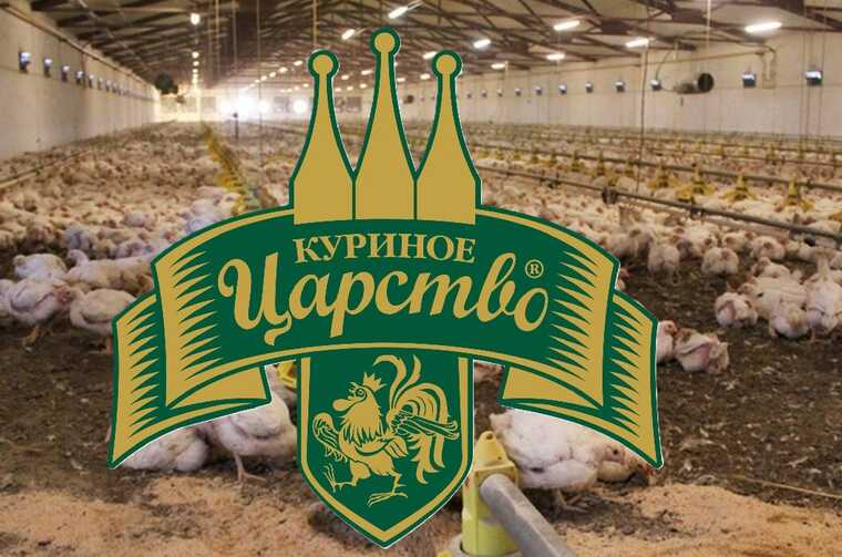 "������� �������" ���������� �� ������ ������������� "������ ����"