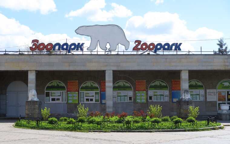 ���-�������� �������������� �������� ������������� � ��������� � ���������������� ����������