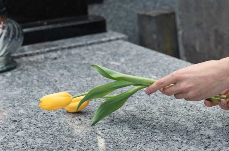 �������� ������ ���: � ����������� ���������� ������� ���������