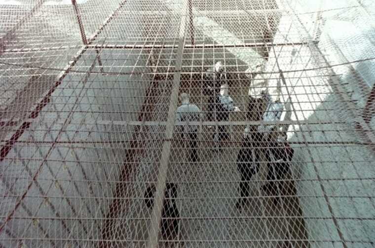 ������� ������ ����� � ������: ��������� ����������� ������ ���� ������� �������