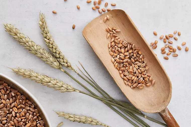 �������� ��������������� �����������: ��� ��������� ������� ��� � �����