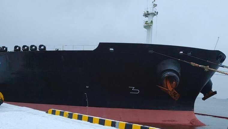 ����� �� ������� "Koala" � ����-����: ��������� ������� �����������