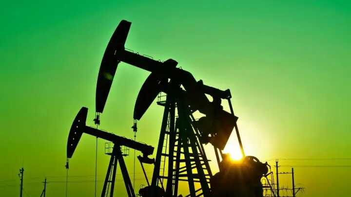 ������� ������ ������ ������� ���� ������� ���� �� �����