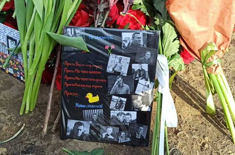 ������ ������ ������ ���� ������ ����������