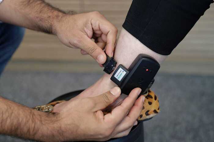 ���������, ������������ �� �������� �������, �� ������� �������� ��������� �� ������������