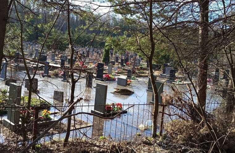 ������������� �������� � ������������� ������� � ������ ���������� ����� ������� ������� ������