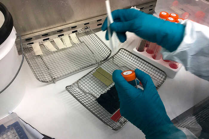 ��� ������������ �������������� ����������� �� ������� ����� �������� COVID-19