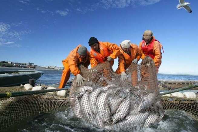 ��� ������� �������� ��� ��������� ����: ��� �������� ������� ������������, ����������� ����