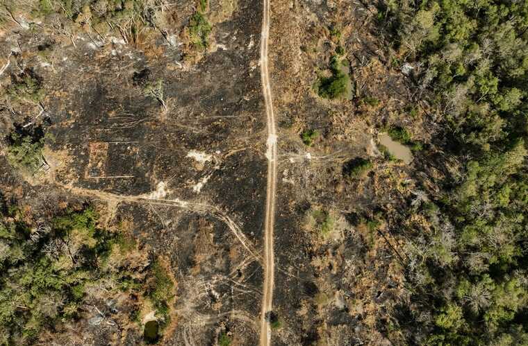 � ����� ������ ���� ���������� ������ ������-���������� ������ ��������������