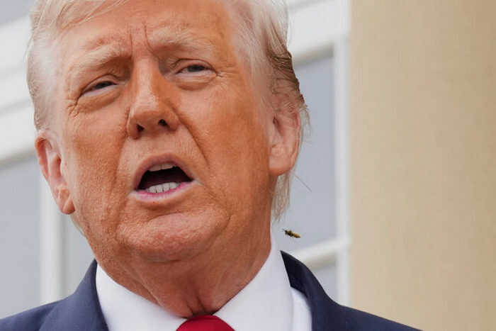 � 2016 ���� ������� ������������ ������������� ������ � ������� ������������ �������������