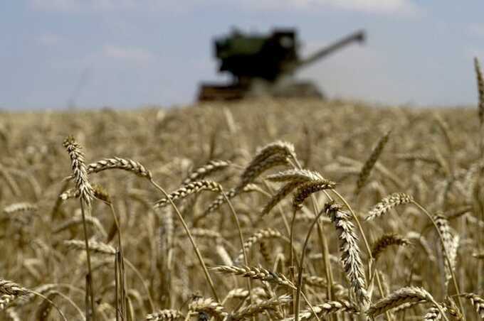 Sanctioned Russian drone makers linked to grain exports from occupied Ukraine