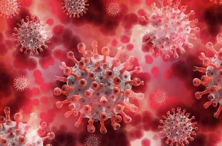 � �����-���������� ������� ����� ������ ������������� ����� �������