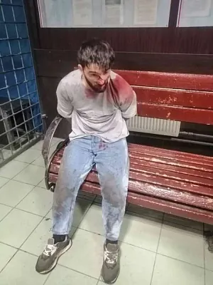 �������� ���������� ���� � ������� � 2022� qhxidiqxkiqxtrps