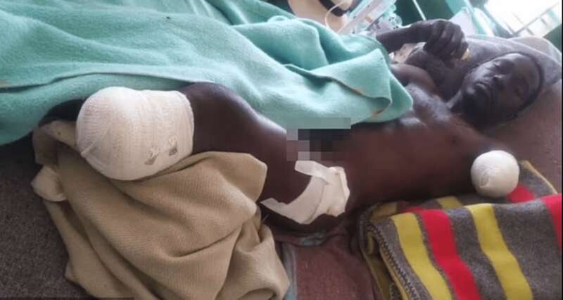 виндерс сианен Виндерс сианен, зимбабве, крокодил, слон, спасение qhxidiqxkiqeerps